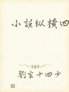 小说纵横四海