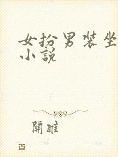 女扮男装坐江山小说