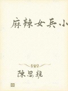 麻辣女兵小说版