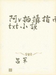 阿v拍摄指南说txt小说