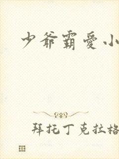 少爷霸爱小丫头