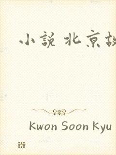 小说 北京故事