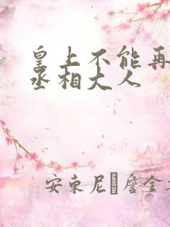 皇上不能再进了丞相大人