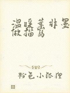 温暖叶非墨车内做描写