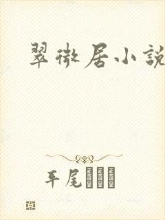 翠微居小说