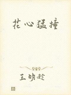 花心猛撞