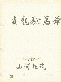 贞观驸马爷苏牧