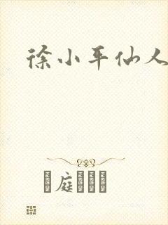 徐小平仙人指路