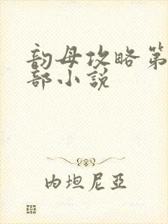 韵母攻略第12部小说