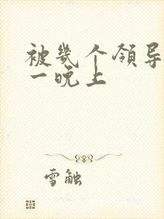 被几个领导玩弄一晚上