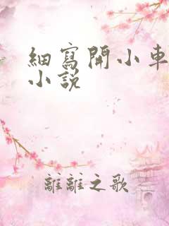 细写开小车车的小说