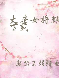 大唐女将樊梨花下载