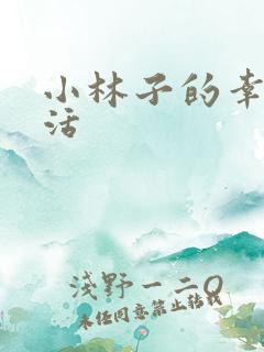 小林子的幸福生活