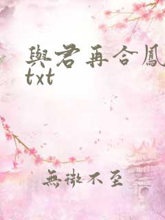 与君再合凤求凰txt