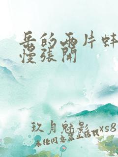 岳的两片蚌肉慢慢张开