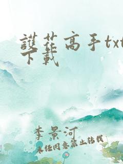 护花高手txt下载