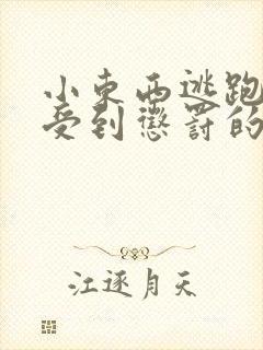 小东西逃跑是要受到惩罚的