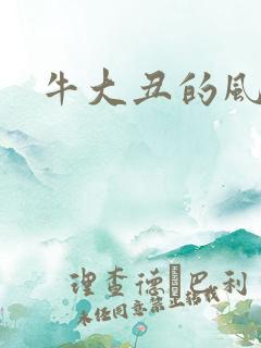 牛大丑的风流记