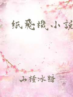 纸飞机小说