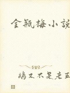 金瓶梅小说在线