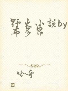 野火小说by夏布多昂