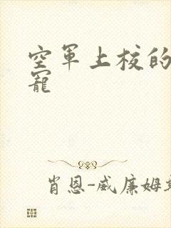 空军上校的邪魅宠