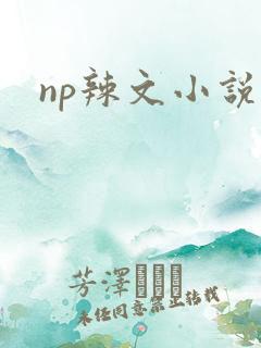 np辣文小说
