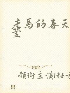 老马的春天王雪莹