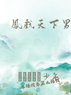 凤戏天下男