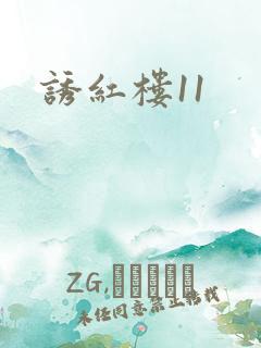 诱红楼11