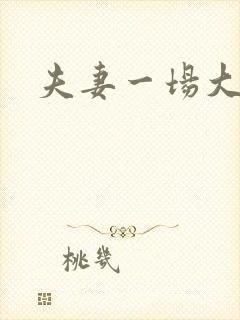 夫妻一场大结局