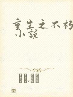 重生之不朽传奇 小说