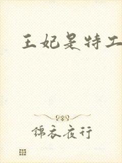 王妃是特工