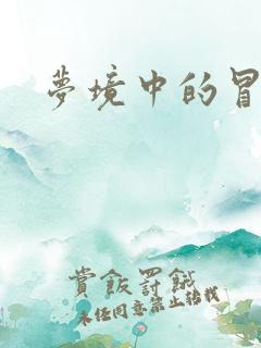 梦境中的冒险家