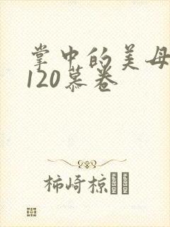掌中的美母版主120慕卷