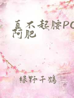 直不起腰POP阿肥