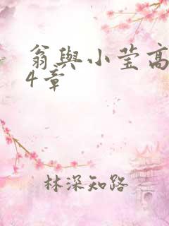 翁与小莹高潮24章