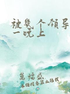 被几个领导玩弄一晚上