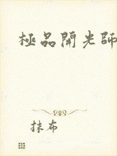 极品开光师阅读
