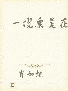 一揽众美在三国