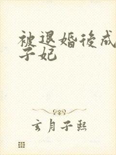 被退婚后成了太子妃