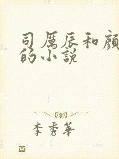 司厉辰和颜辞兮的小说