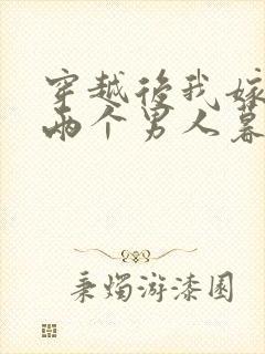 穿越后我嫁给了两个男人暮色酒歌