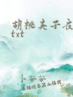 胡桃夹子夜未眠txt