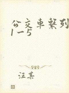 公交车系列合集1一5