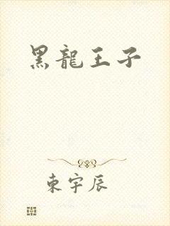 黑龙王子