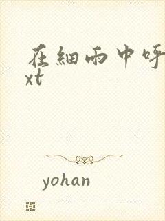 在细雨中呼喊txt