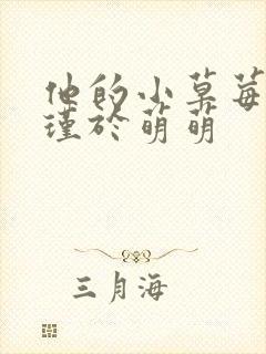 他的小草莓沈修瑾于萌萌