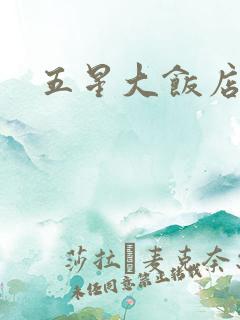 五星大饭店小说