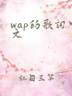 wap的歌词中文